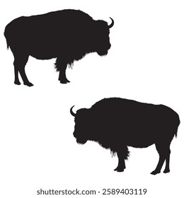 Buffalo Silhouette, Bull illustration, Buffalo icon Silhouette, Bull Silhouette illustration