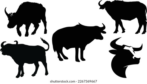Buffalo silhouette Design
Sign and Symbols