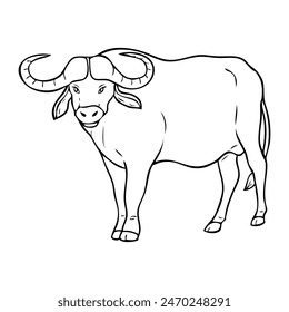 buffalo sketch vector illustration,isolated on white background,top view