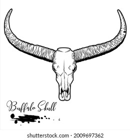 Buffalo skull, Animal skull vector illustration