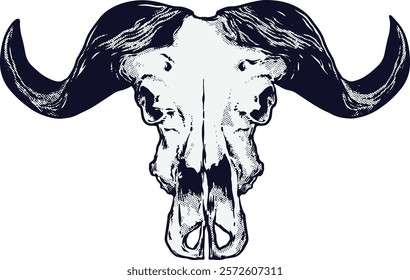 Buffalo Skull Digital Hand drawn Line art Sketch Vector illustration black and white