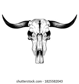 848 African buffalo skull Images, Stock Photos & Vectors | Shutterstock