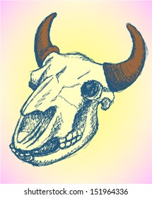 Buffalo skull, vector background