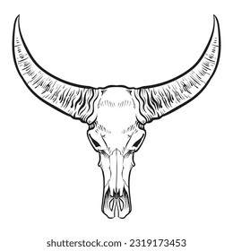 Buffalo skull vector sketch. Vintage vector illustration.
