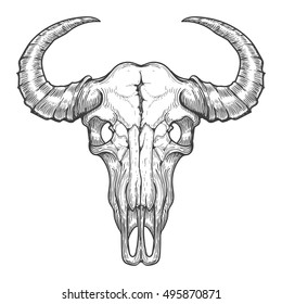 Buffalo skull vector sketch. Vintage hand drawn animals head skull