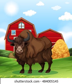 Buffalo auf Bauhofgrafik