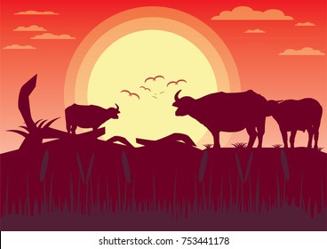 Buffalo sunset evening and grassland meadow landscape vector Illustrator