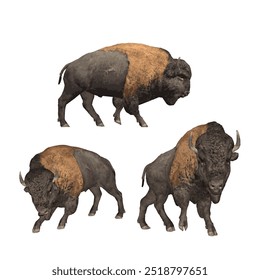 Buffalo vector animal ilustration isolated design template 