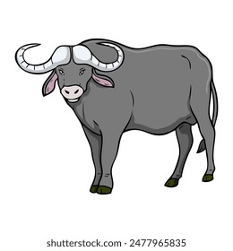 buffalo vector illustration,isolated on white background,top view