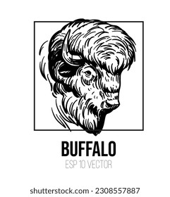 Esbozo vectorial de búfalo, ilustración bisonda, contorno negro