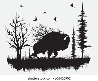 Buffalo walking in the forest.Hand drawn vector illustration