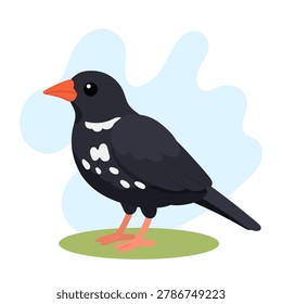 Buffalo weaver illustration featuring Bubalornis niger standing proudly, buffalo weaver vector art highlighting Bubalornis niger.