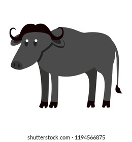 Buffalo wild animal