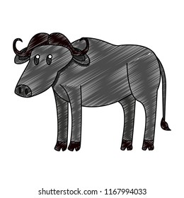 Buffalo wild animal scribble