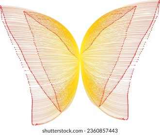 bufferfly vector design- butterfly design- new creative design- 