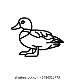 Bufflehead Outline Icon, Vector illustration