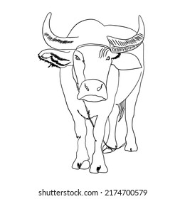 buffolo ,asian ,animal,thailand art,illustrarion ,black and white,line drawing vector.