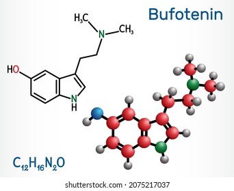 Bufotenin, 5-HO-DMT, Bufotenine Molecule. It Is Alkaloid, Tryptamine Derivative, Hallucinogenic Serotonin Analog, Found In Toad Skins, Mushrooms. Structural Chemical Formula, Molecule Model. Vector 