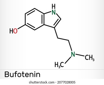 Bufotenin, 5-HO-DMT, Bufoteninmolekül. Es ist Alkaloid, Tryptamin-Derivat, halluzinogenes Serotonin-Analogon, gefunden in Totenhäuten, Pilzen. Chemische Skelettformel. Vektorgrafik