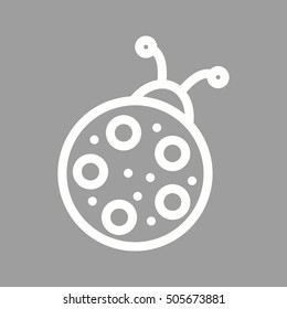 Bug
