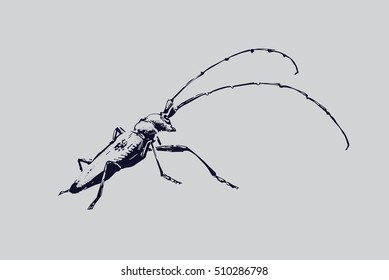 Bug