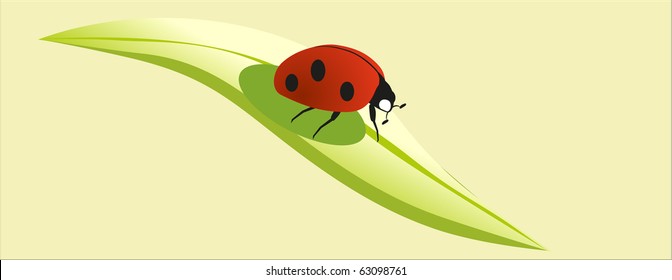 bug
