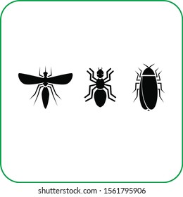 bug animal nature vector icon