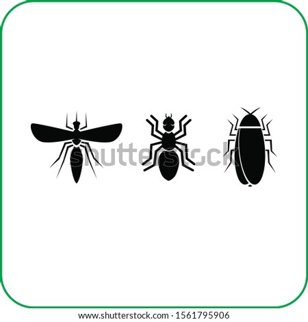 bug animal nature vector icon