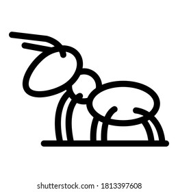 Bug ant icon. Outline bug ant vector icon for web design isolated on white background