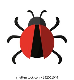bug or beatle icon image 