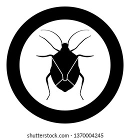 Bug Bedbug Chinch True bugs Hemipterans Insect pest icon in circle round black color vector illustration flat style simple image