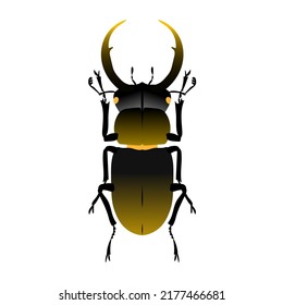 Bug, escarabajo con cuernos aislados en el fondo de la luz. Ilustración vectorial. Animales silvestres, fauna, artrópodos, carapájaros, antenas, vibrissae, insecto, zoológico, vida, naturaleza.