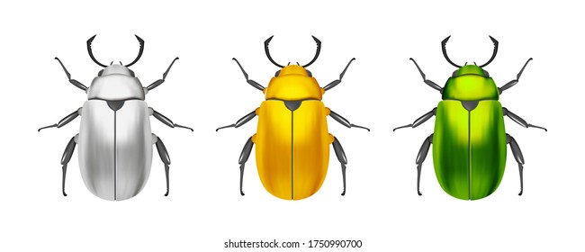 Bug or Beetle Insects of different colors on a white background. Gold, silver, green.