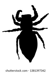 Bug black silhouette natural look
