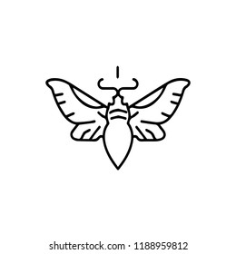 bug butterfly fly