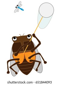 The bug collecting of the cicada.