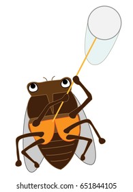 The bug collecting of the cicada.