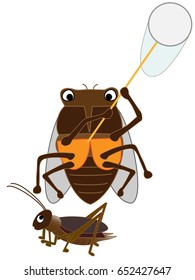 The bug collecting of the cicada.
