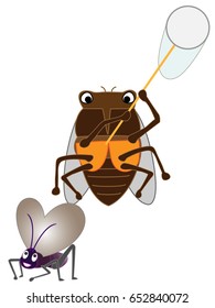 The bug collecting of the cicada.