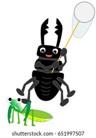 The bug collecting of the stag beetle.