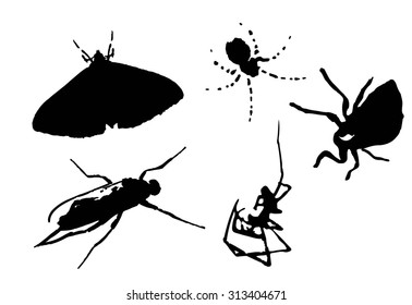 Bug collection