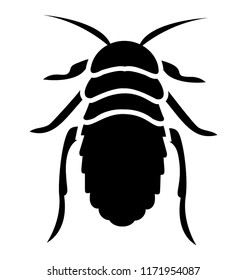 
Bug containing legs and little arms knows as bedbug 
