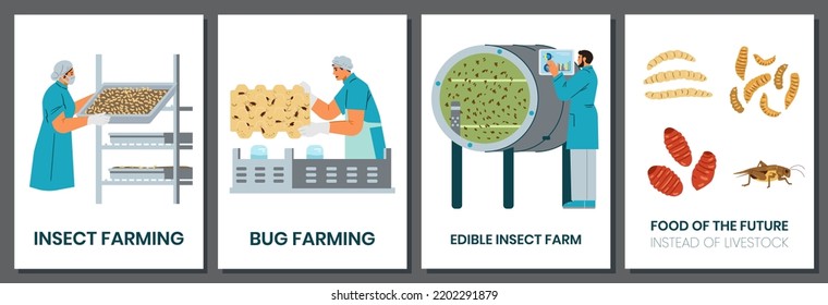 Bug farming set of vector cards. Insects as alternative food for the planet.