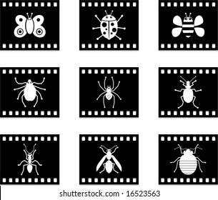 bug film