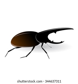 A bug Hercules on a white background