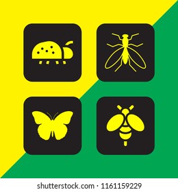 bug icon. 4 bug set with mosquito from top view, insect and bee vector icons for web and mobile app