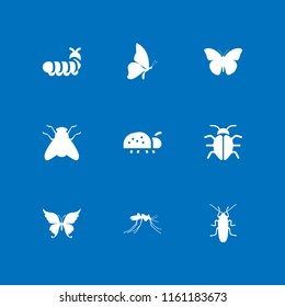 bug icon. 9 bug set with mosquito, insect, butterfly and cockroach vector icons for web and mobile app