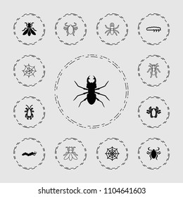 Bug icon. collection of 13 bug filled and outline icons such as beetle, spider web, caterpillar, fly. editable bug icons for web and mobile.