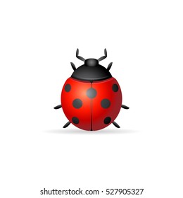 Bug icon in color. Insects, computer virus 
