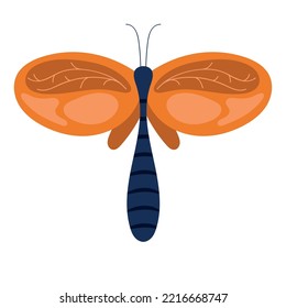 bug icon on white background isolated